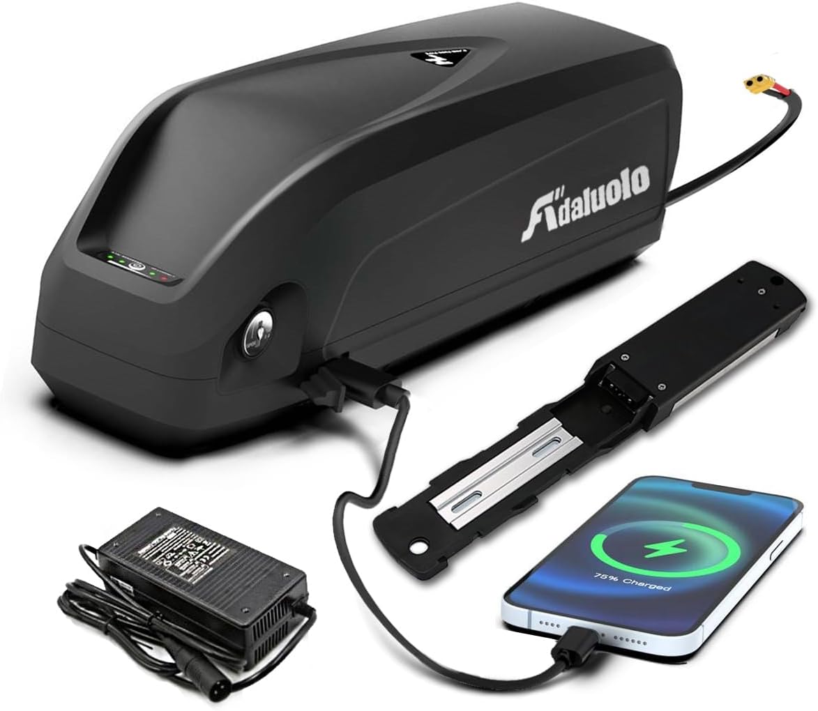 48V 20AH Lithium ion Electric Bike Battery Pack with Charger E856