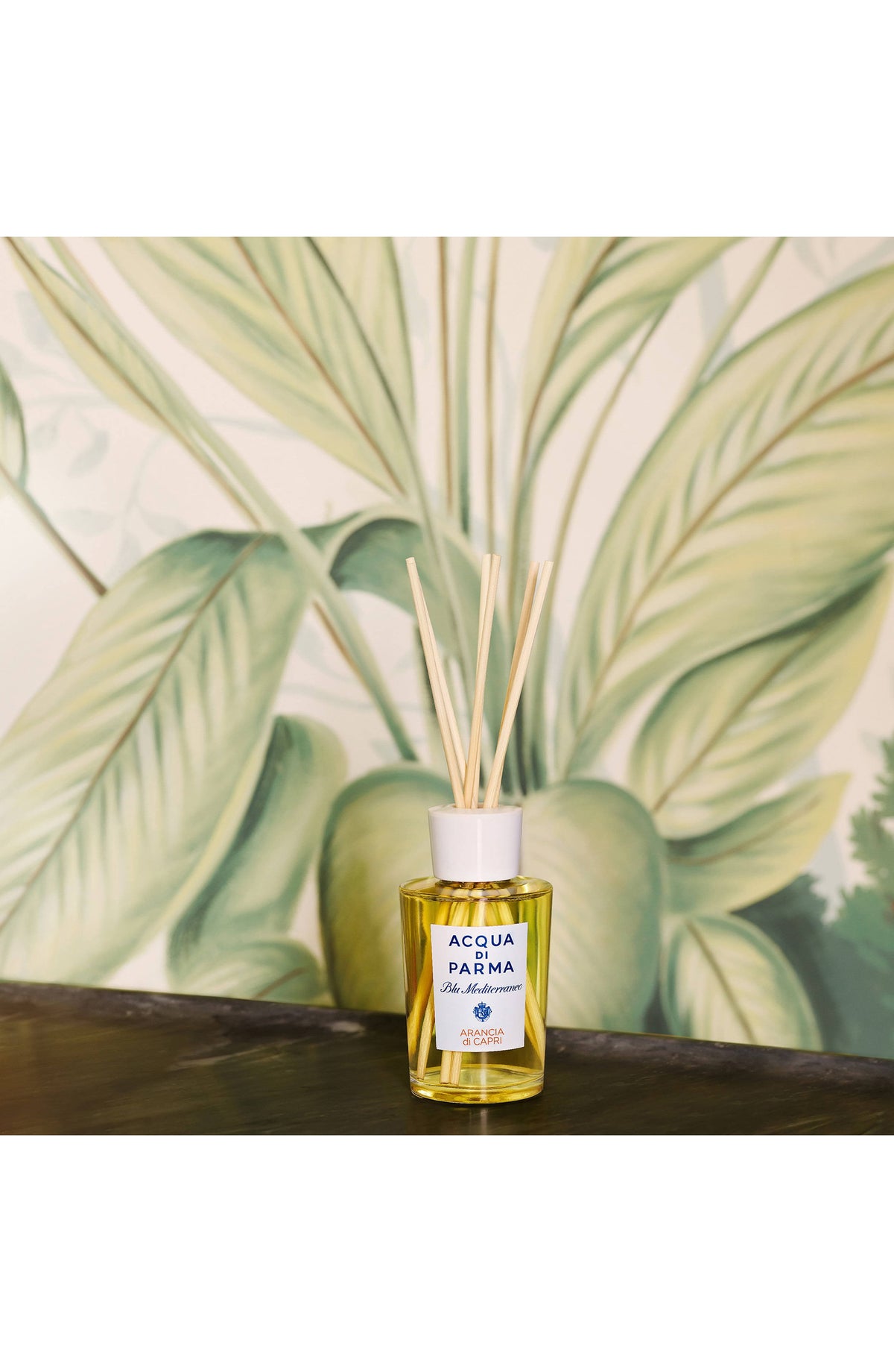 Diffuser 180ml/6oz N52392