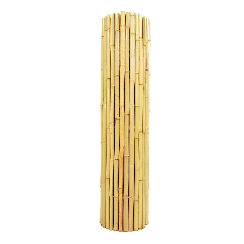 Natural Bamboo Fence C54162