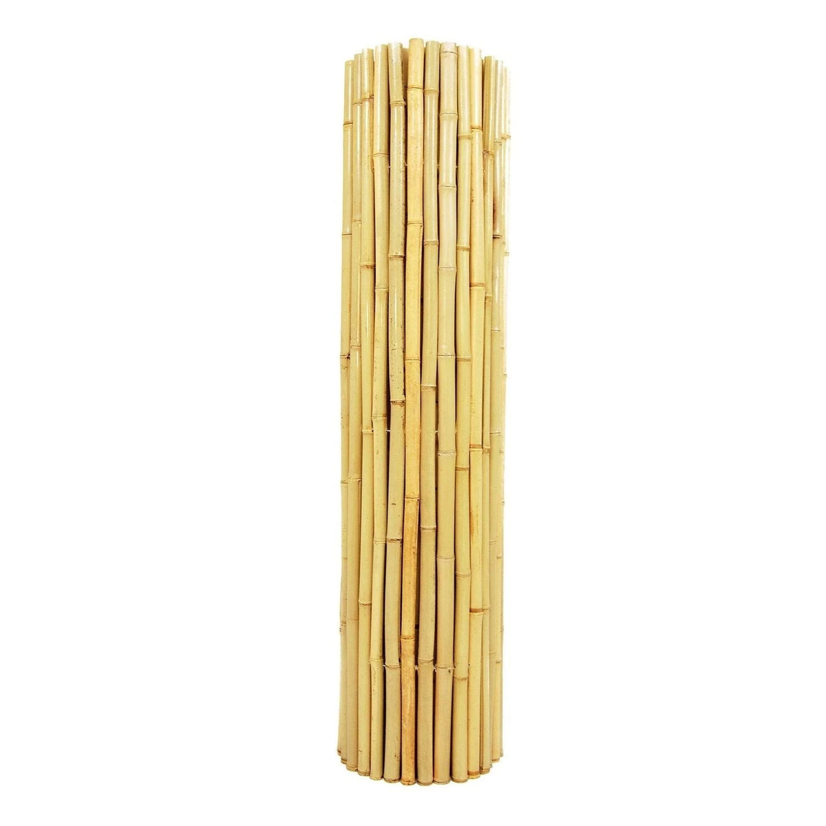 Natural Bamboo Fence C54162