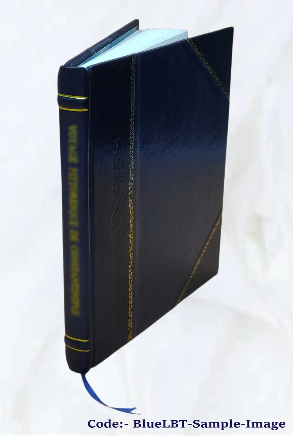 Leather Bound Book A342002