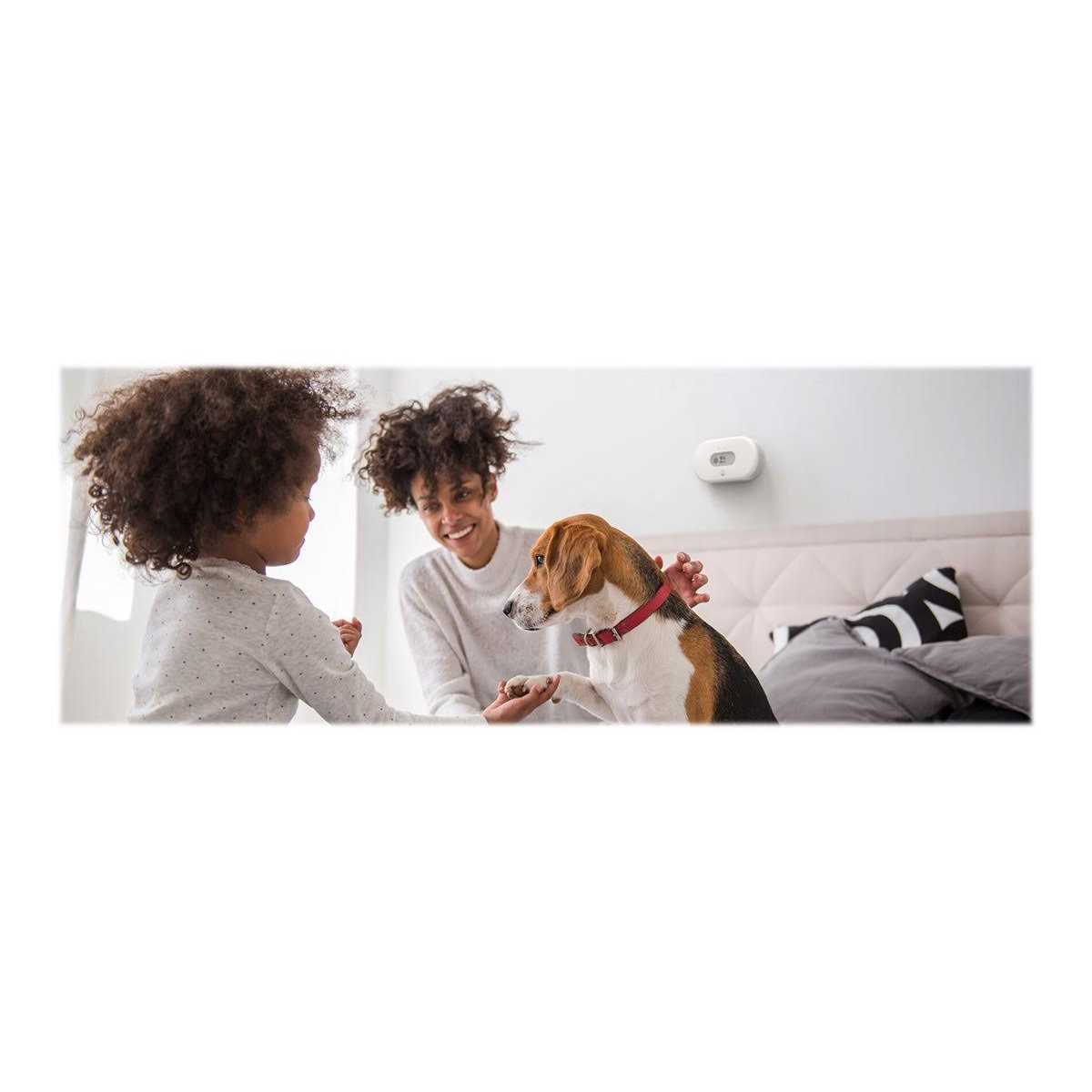 Battery-Operated Indoor Air Quality Monitor with Wi-Fi B949