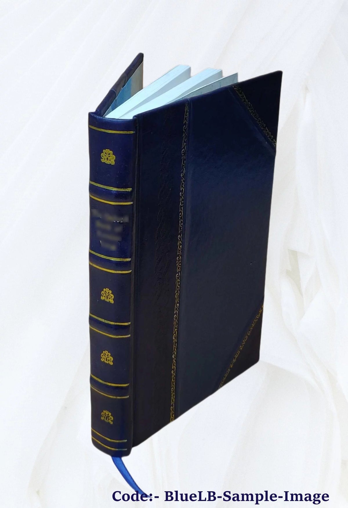 Leather Bound A69484