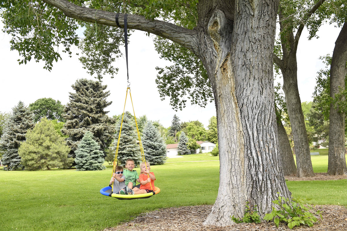 Sky Swing N856603