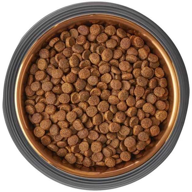 Matte Black Stainless Steel Dog & Cat Bowl H8951