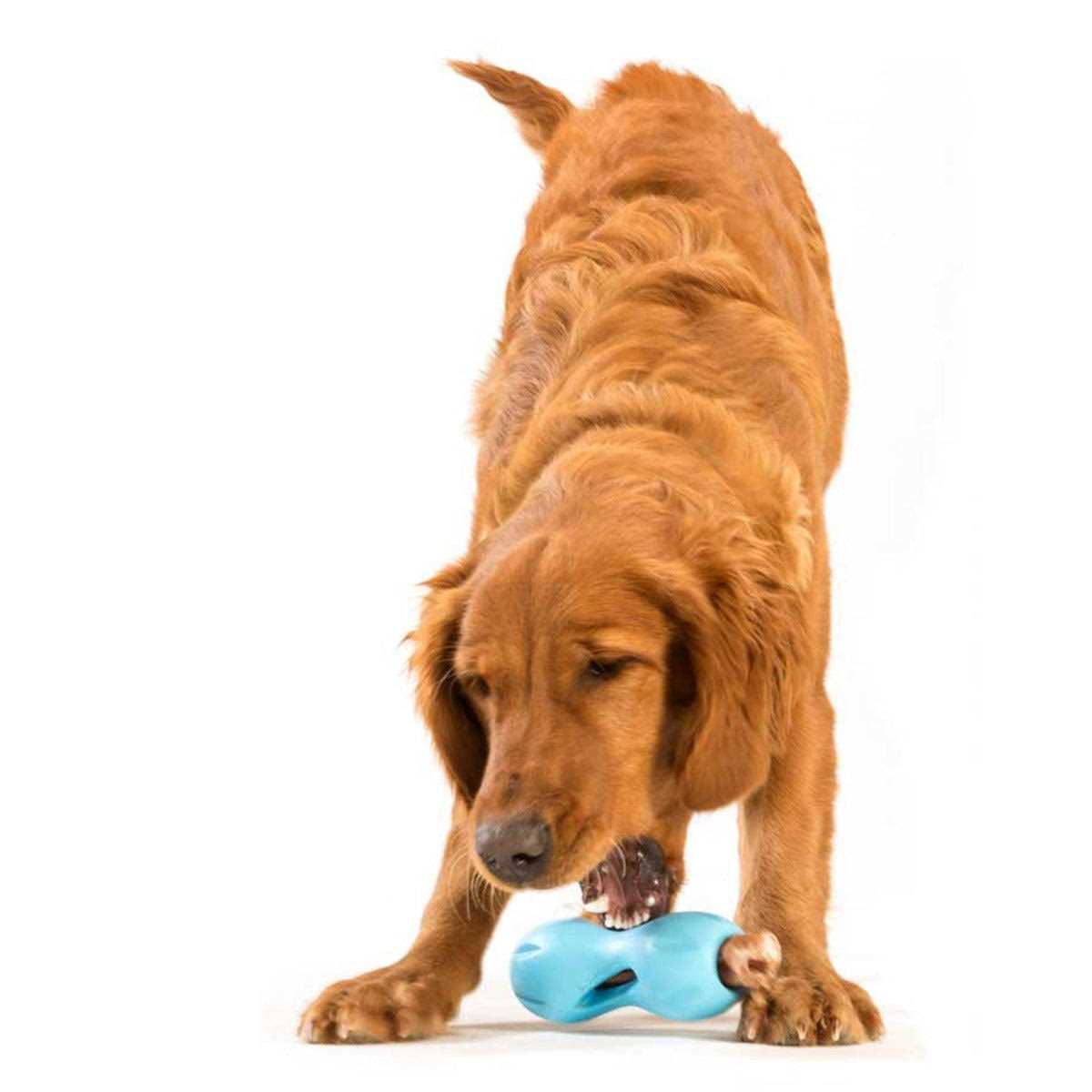 Dog Toy H1298