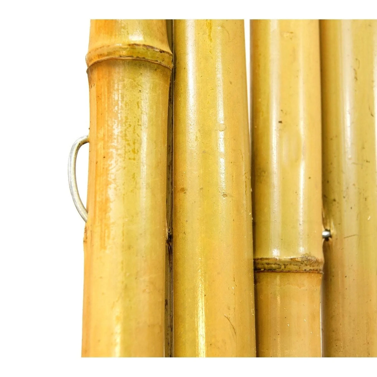 Natural Bamboo Fence C54162