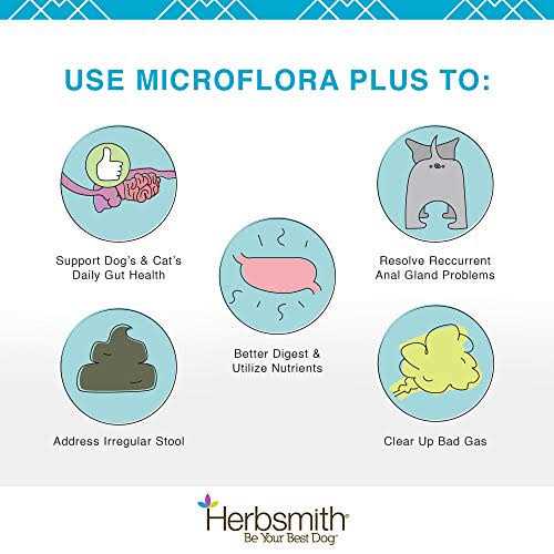 Microflora Plus for Digestion Pet Supplies U513