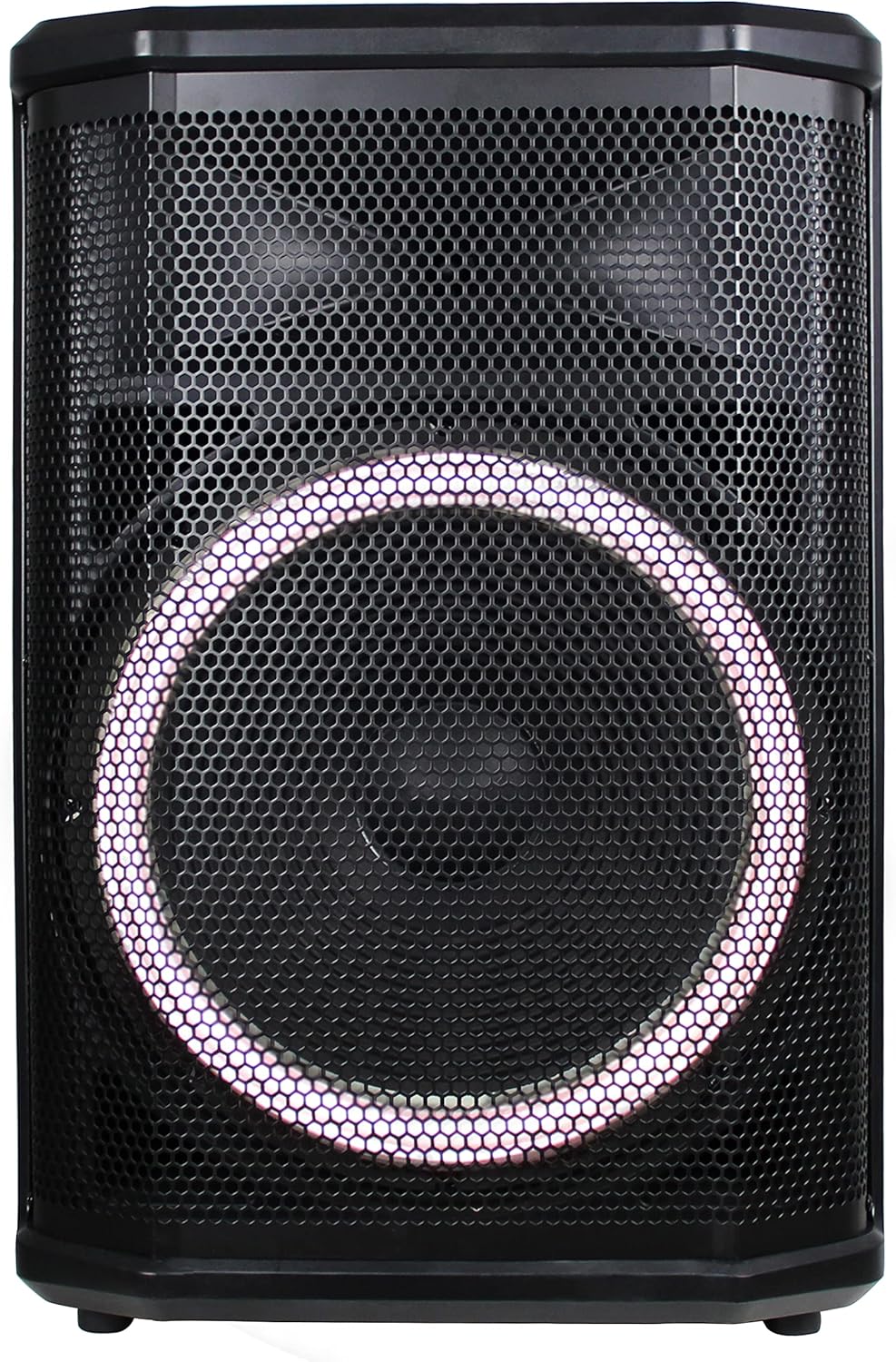 Portable Bluetooth Karaoke DJ Speaker with Remote Control and LED Light Show, 12", 2600 Watts X8684