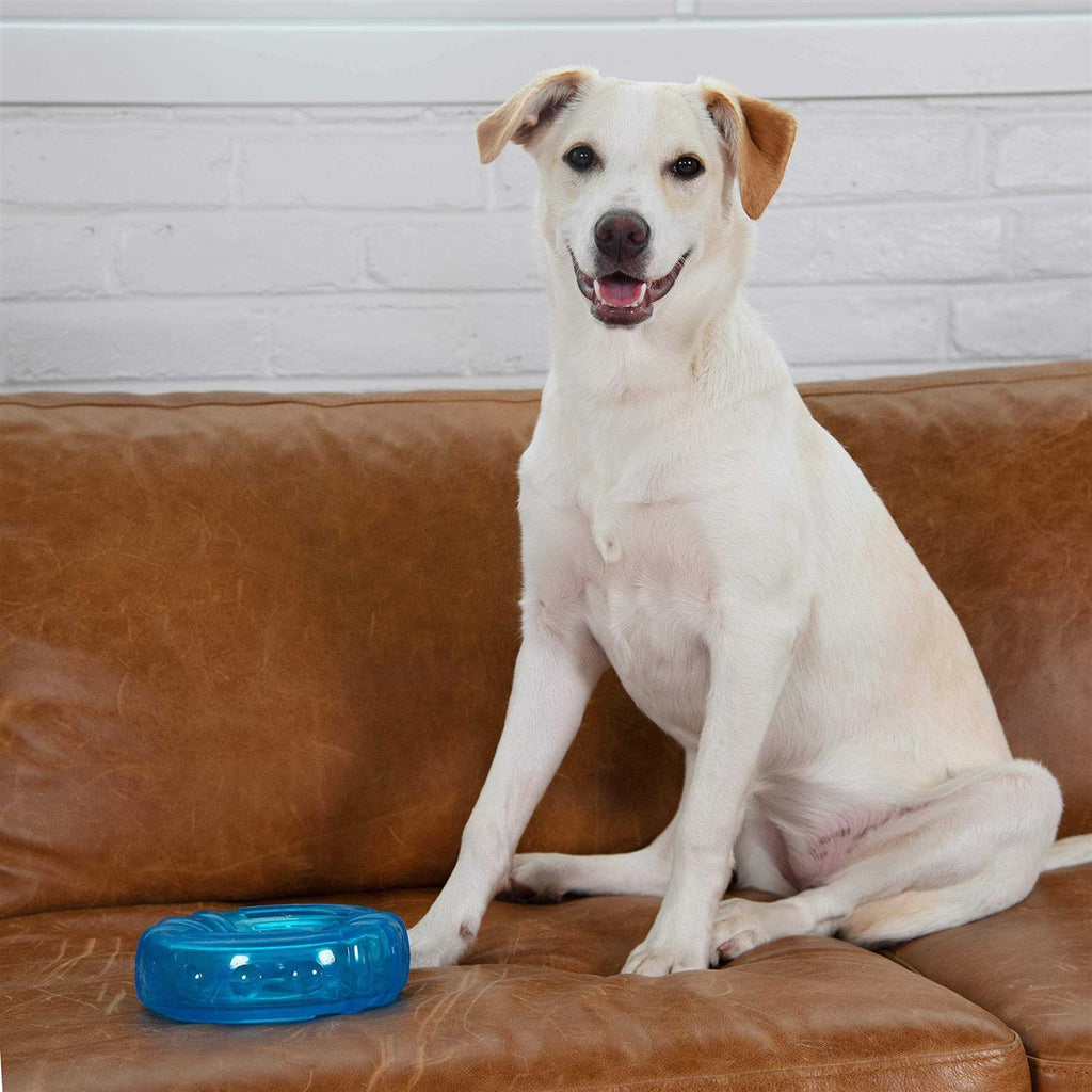 Dog Chew Toy I2703