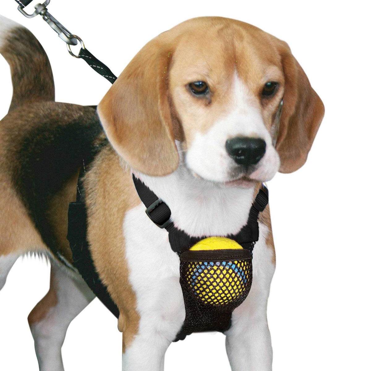 Medium Black Anti Pull Mesh Dog Harness K328423