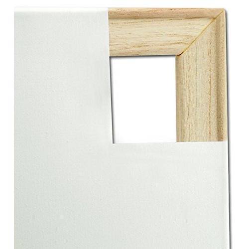 Canvas 20 inch x 24 inch E75906