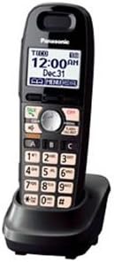 Titanium Black Cordless Amplified Phone with Digital Answering System, 2 Handsets N65358