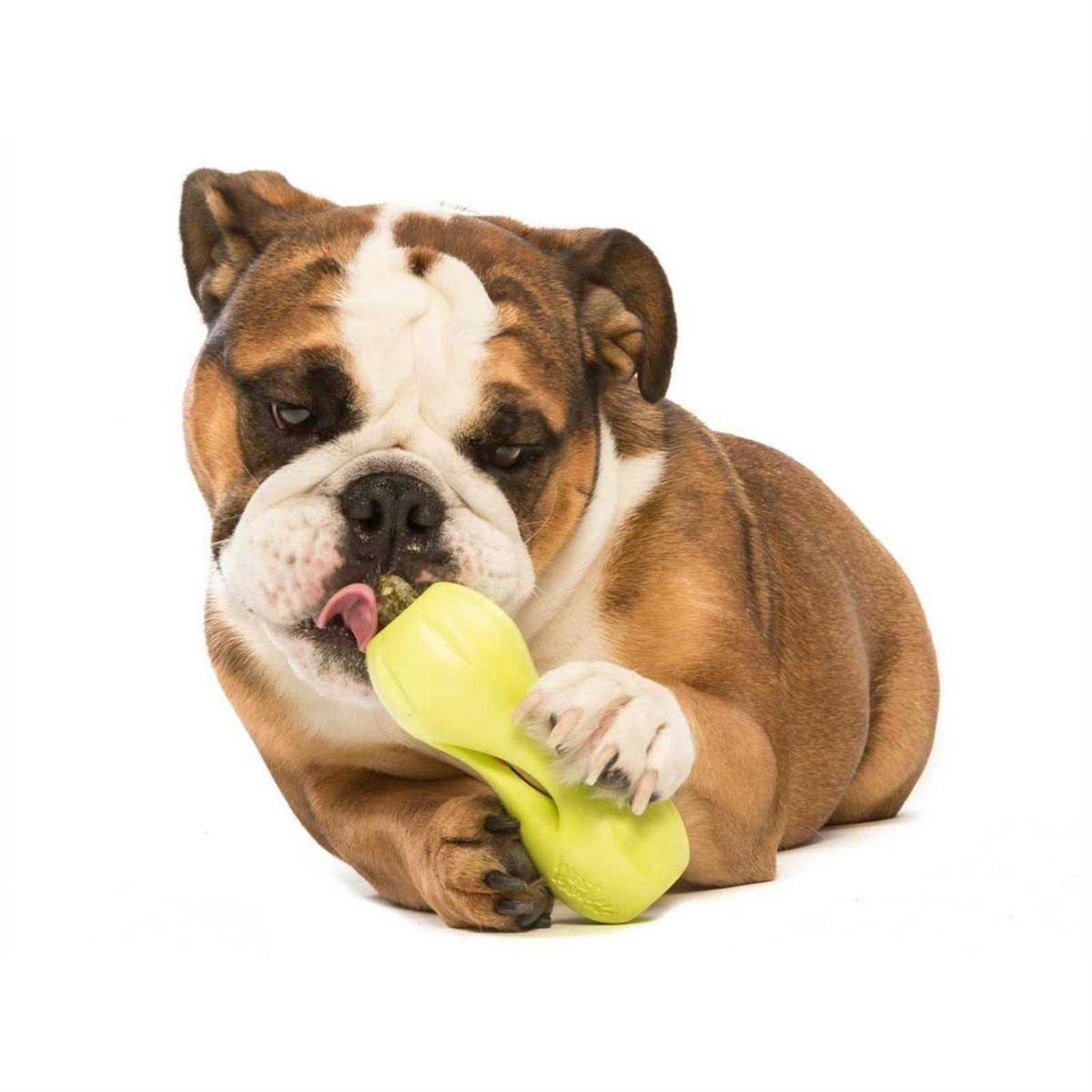 Dog Toy H1298