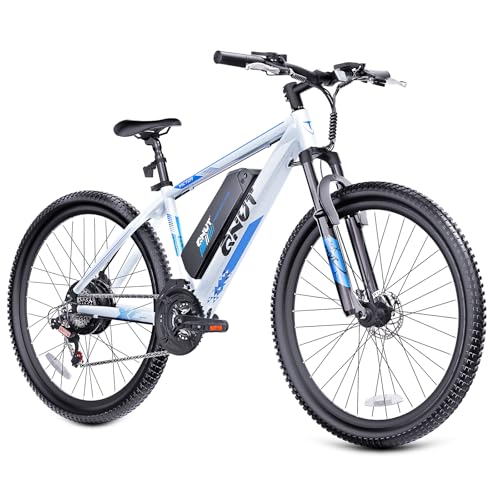 350W 26" 21 Speed Electric Bike with Dual Disc Brake S375
