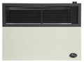 17,000 BTU Direct Vent Natural Gas Heater L667