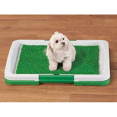 Potty Trainer P3030