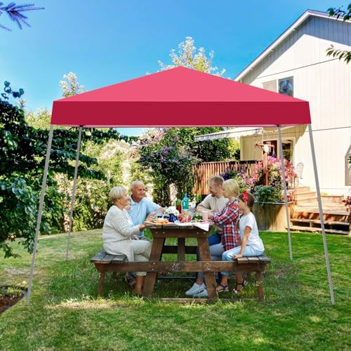 10X10 FT Pop Up Canopy Tent with Carrying Bag Y89945