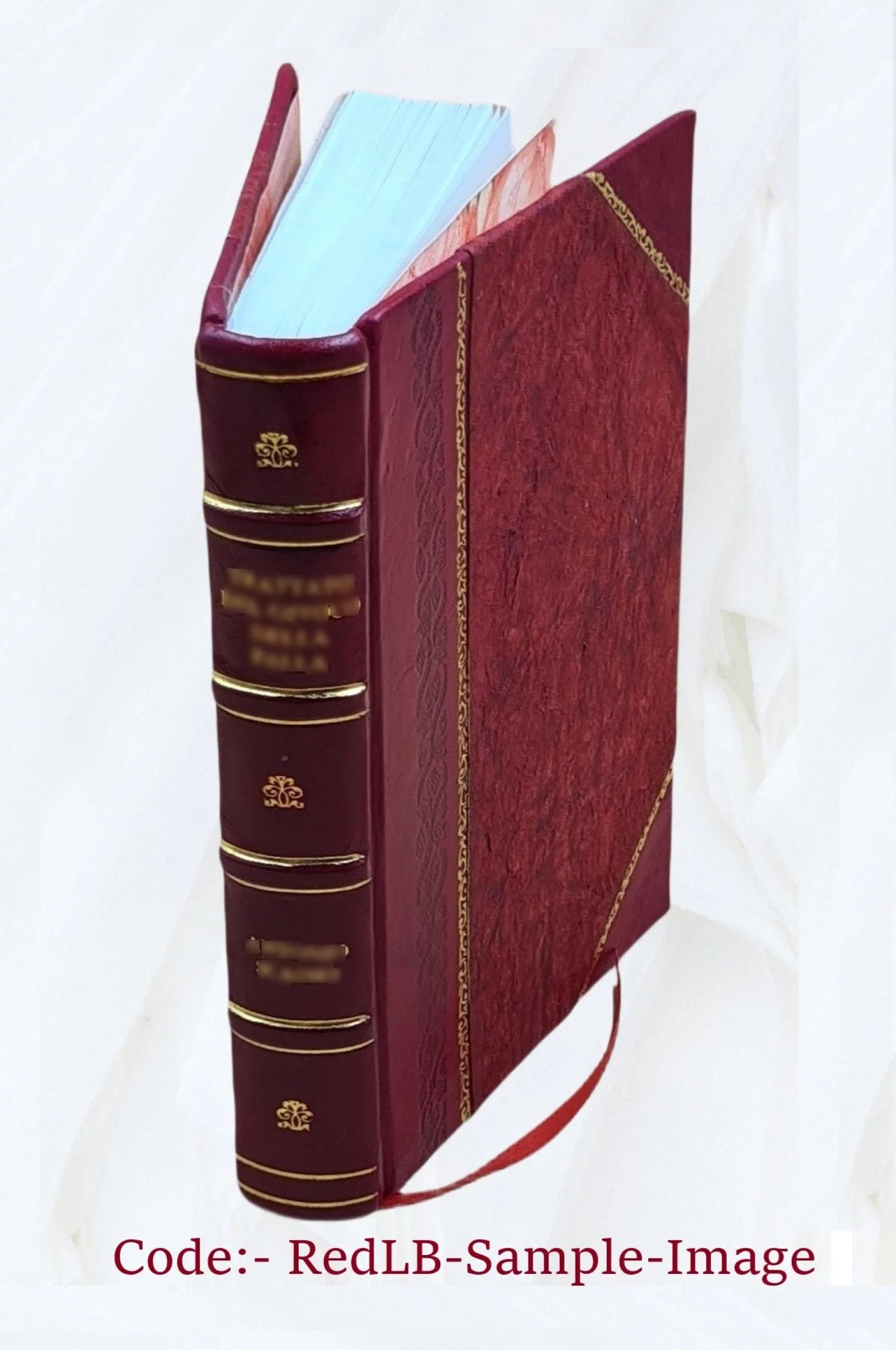 Leather Bound A69484