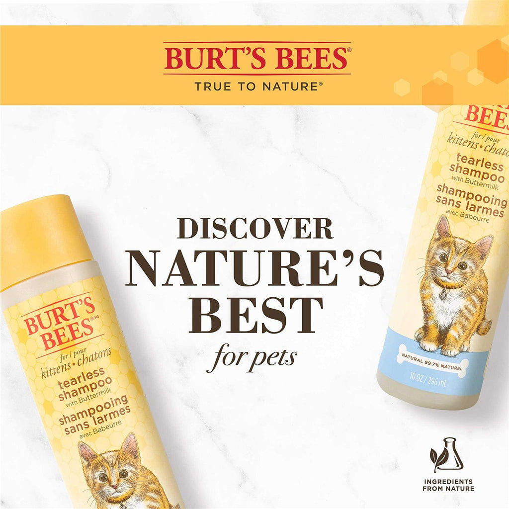 Tearless Shampoo for Kittens with Buttermilk J269653