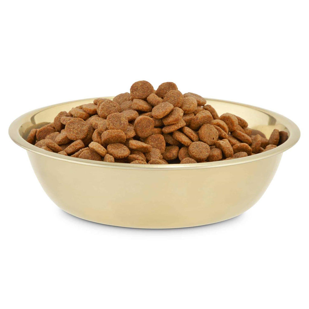 Gold Stainless Steel Dog Bowl F525709