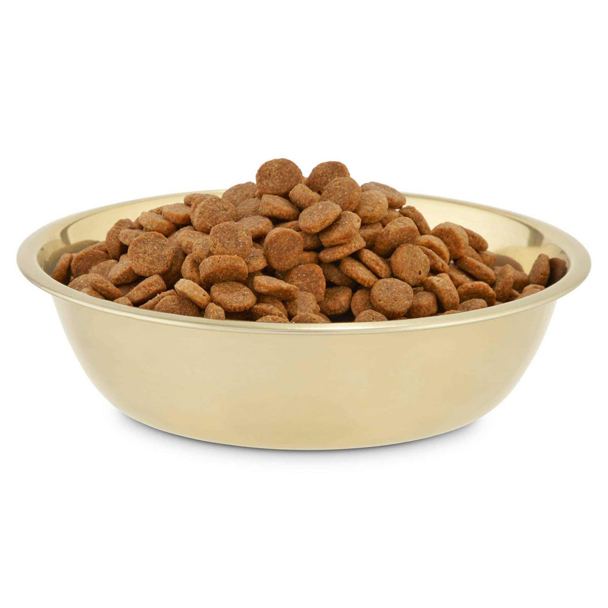 Gold Stainless Steel Dog Bowl F525709