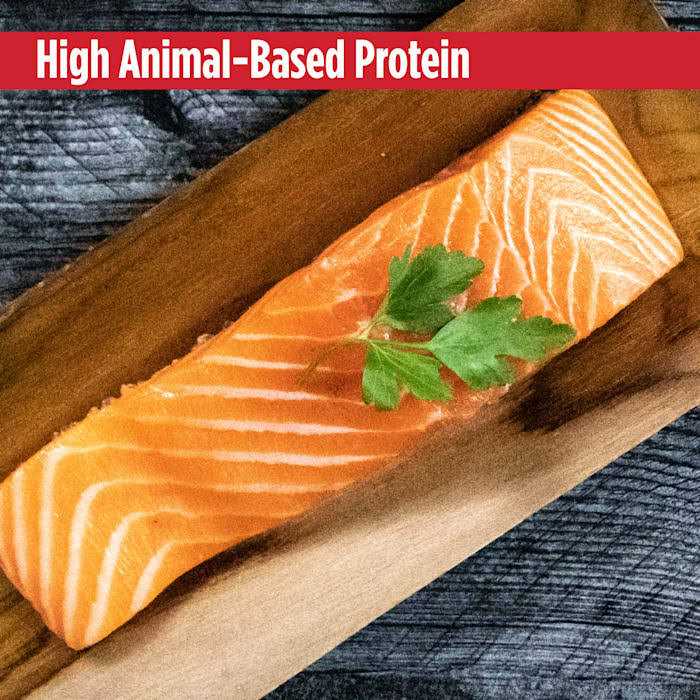 Grain Free Salmon Dog Food K4759