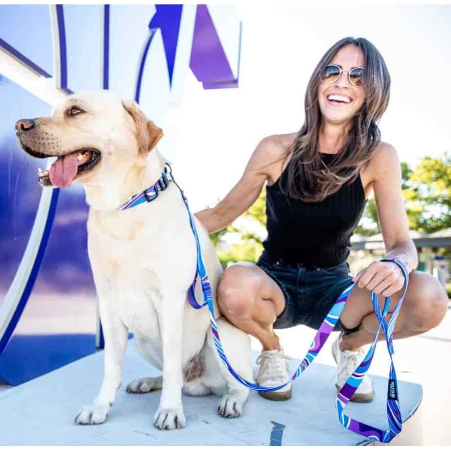 Dog Collar P21286