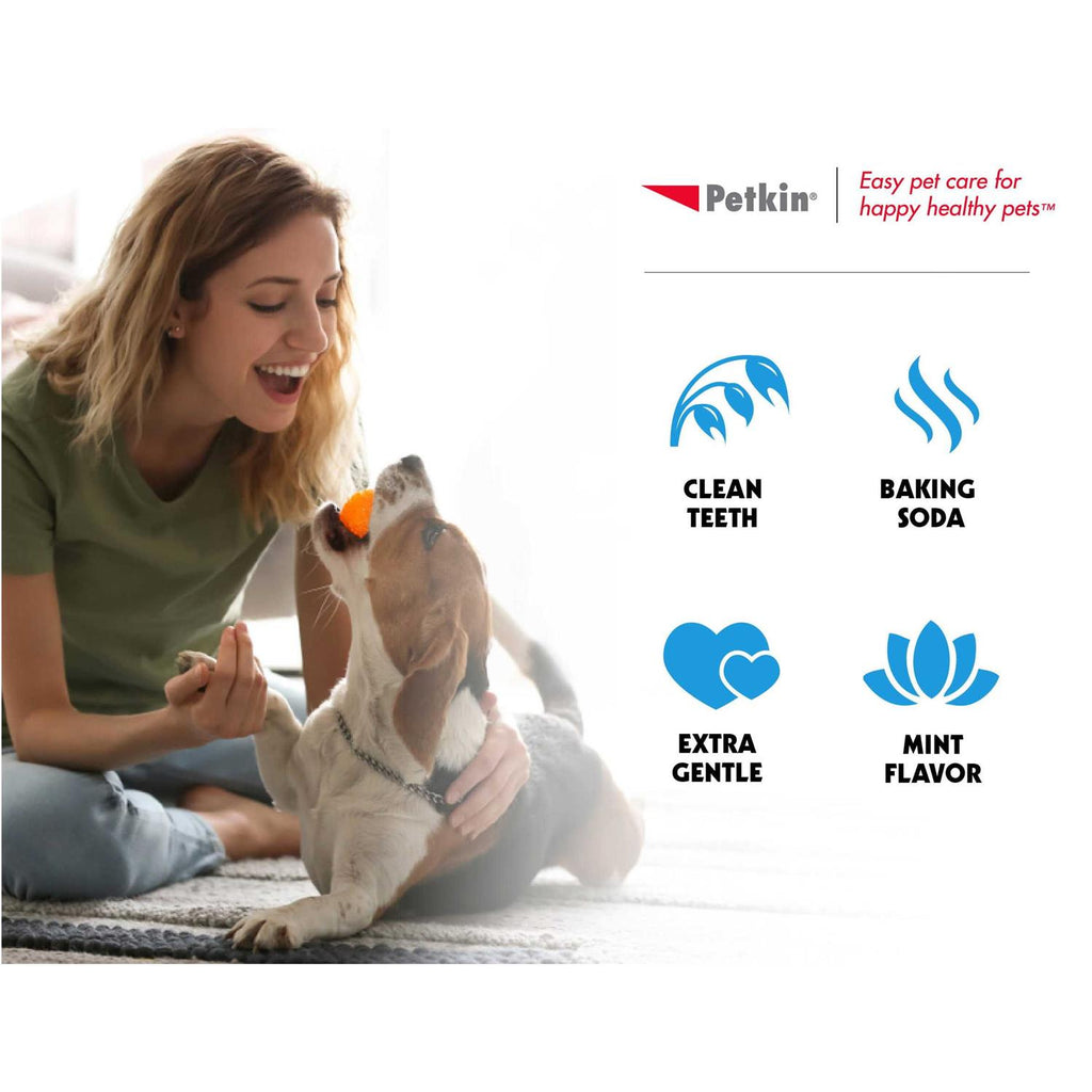 Tooth Wipes W69234