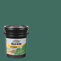 5 gal. Forest Exterior 2x Solid Stain R11977