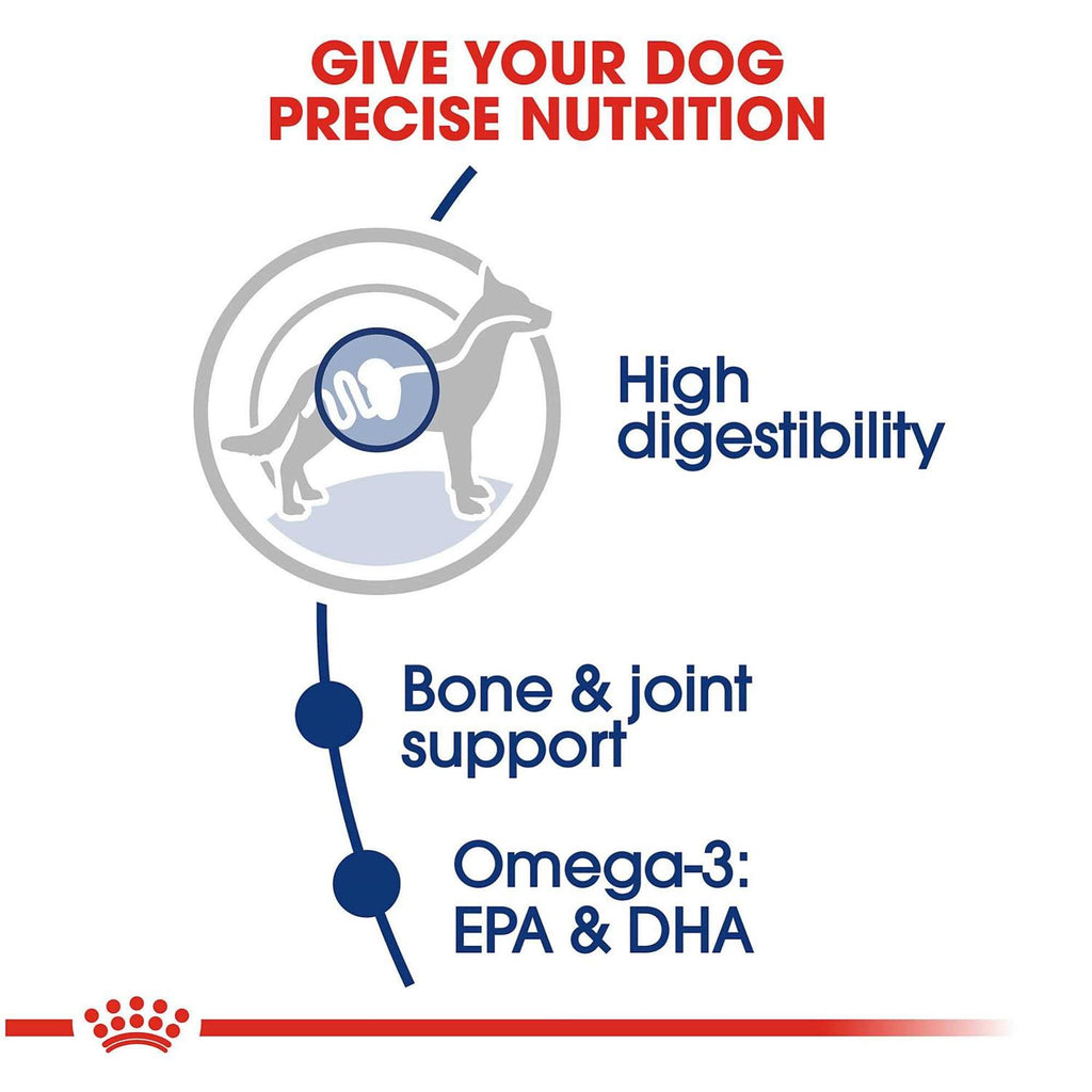 Large Breed Adult Dog Dry Food Y727446