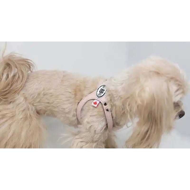 Pebble Grain Harness J421