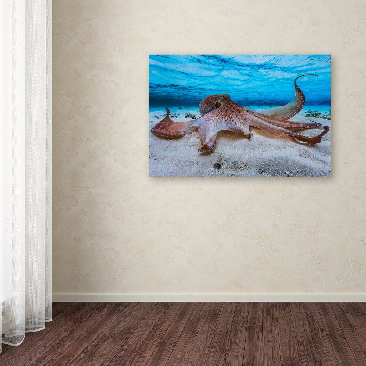 Octopus Canvas K114