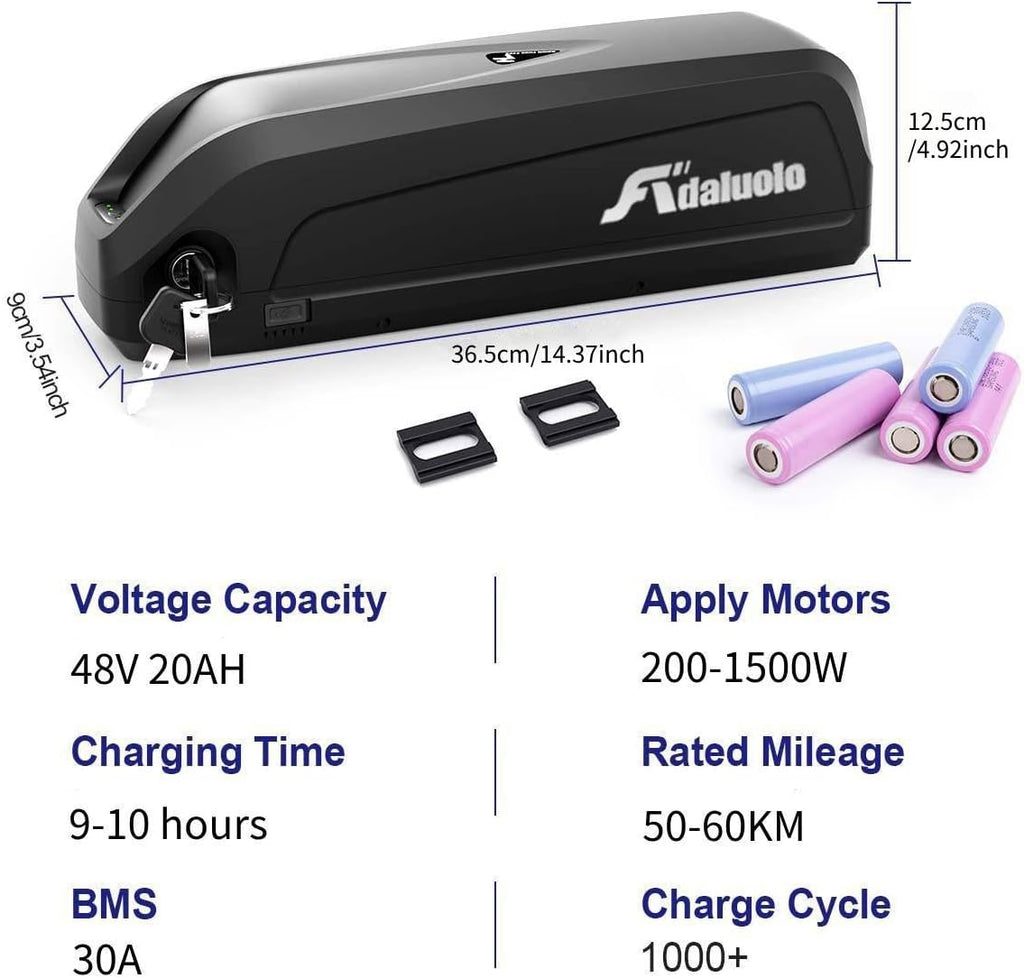 48V 20AH Lithium ion Electric Bike Battery Pack with Charger E856