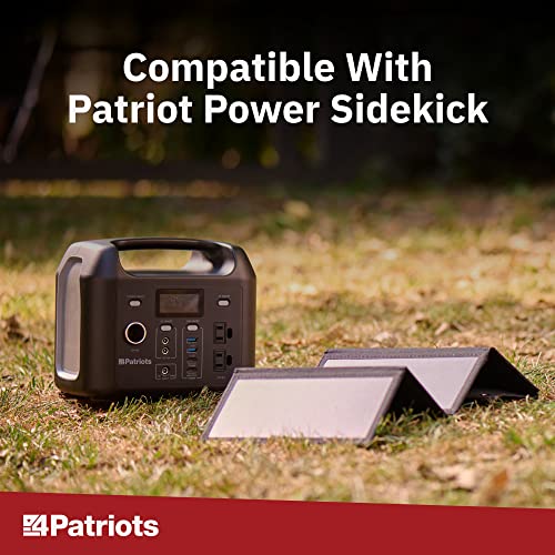 Patriot Power Sidekick Generator N33732