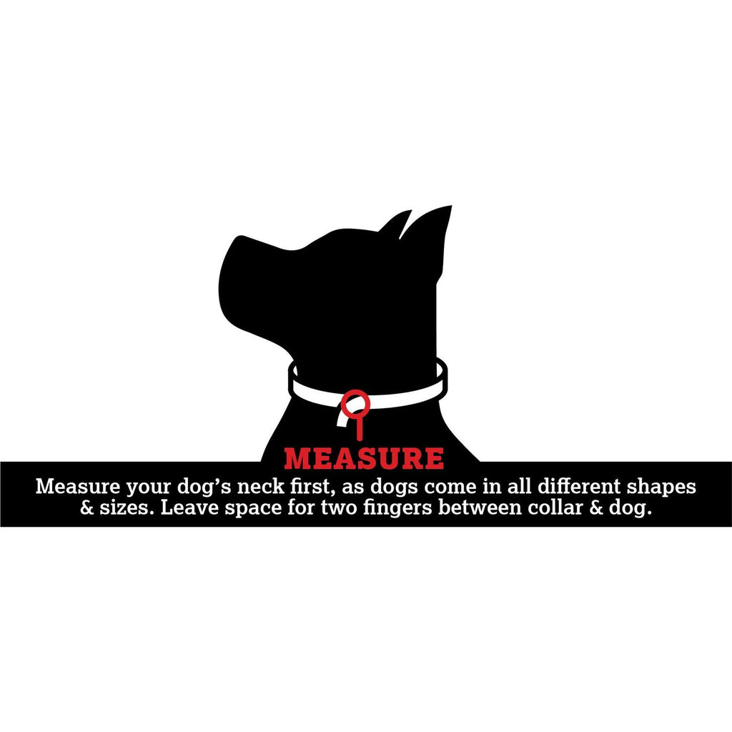 Tactical Collar I37235