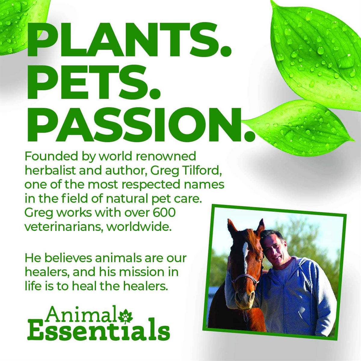 Seaweed Calcium for Dogs and Cats L81973