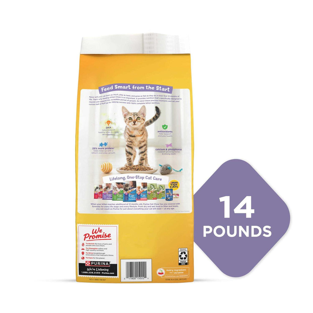 Kitten Dry Cat Food Y542