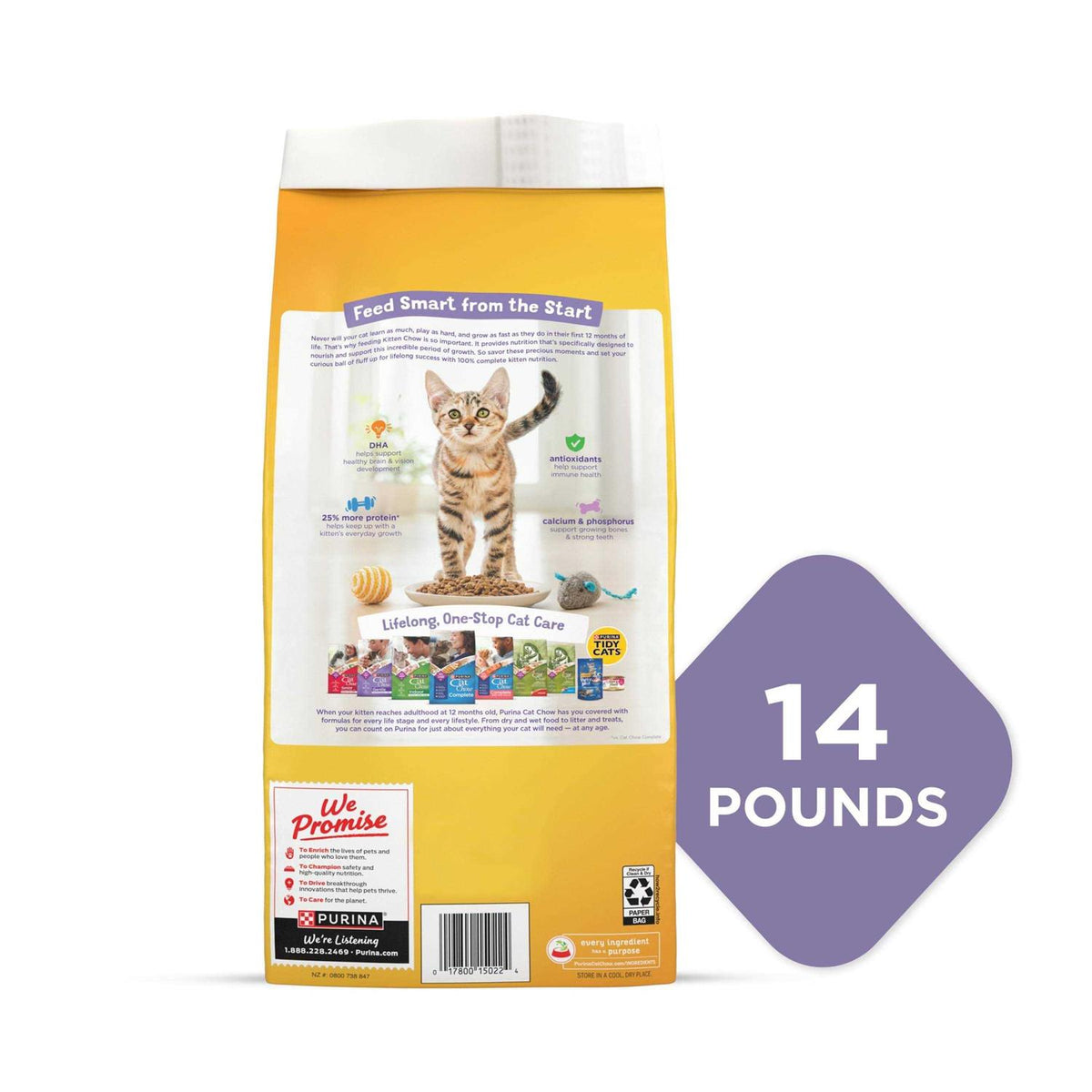 Kitten Dry Cat Food Y542