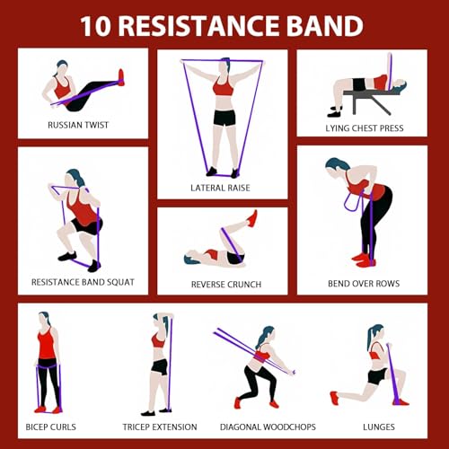 Resistance Bands Set with Handles and Door Anchor L78548