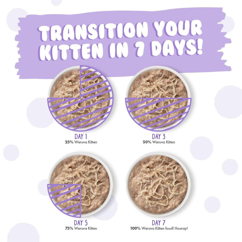 Wet Cat Food Variety Pack W536422