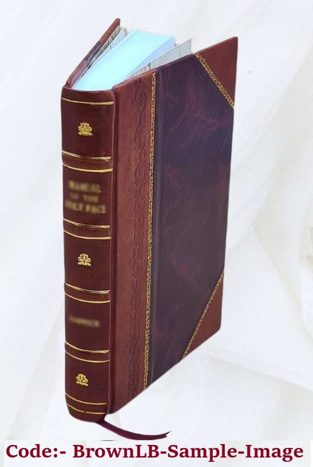 Leather Bound A69484
