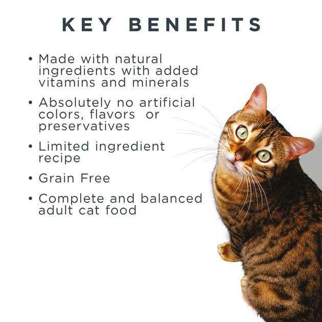 Grain Free Whitefish Recipe Dry Cat Food Z962262