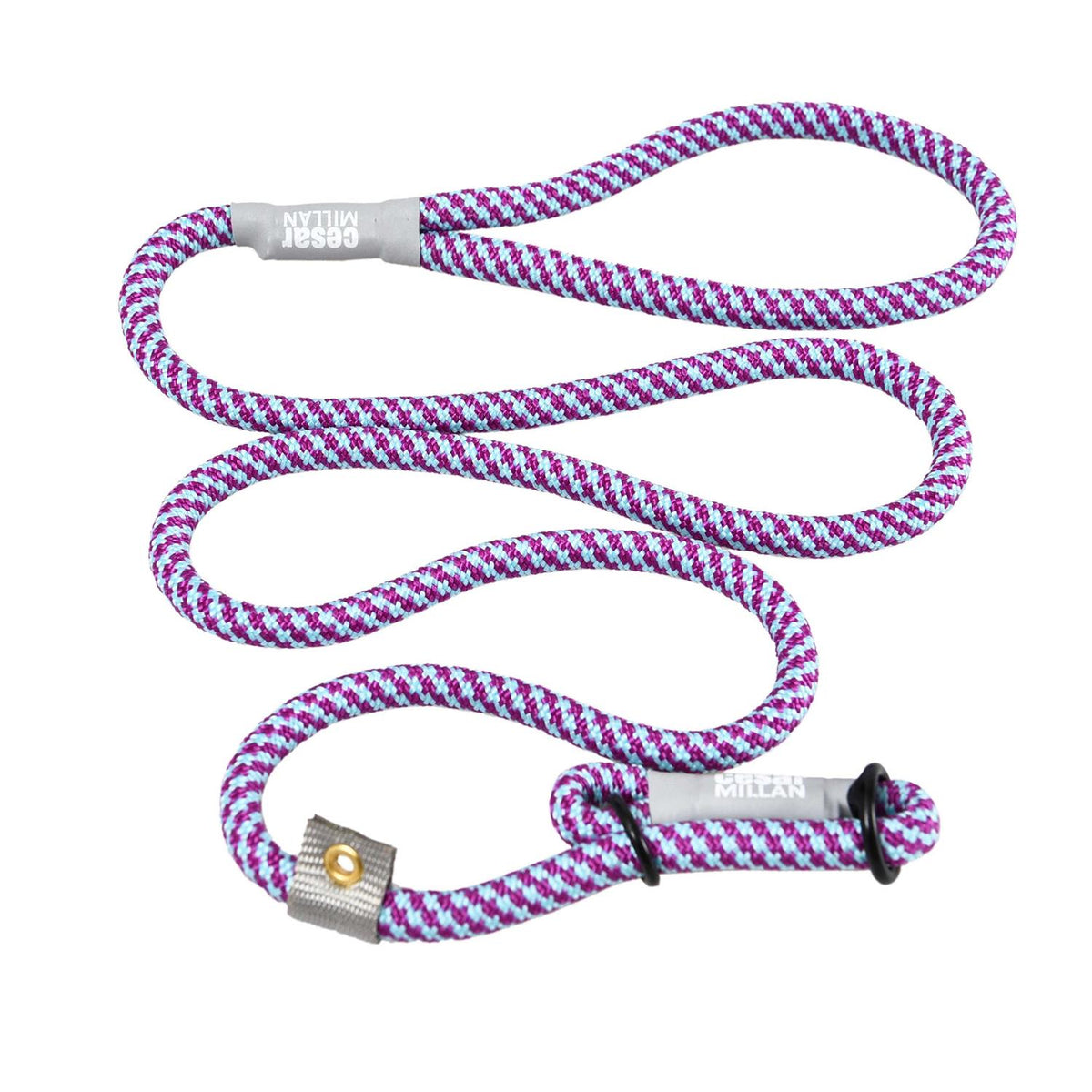 Slip Lead Leash 2-in-1 Dog Training Lead & Collar G873717
