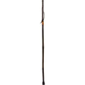 41 inch Iron Bamboo Walking Stick O764747