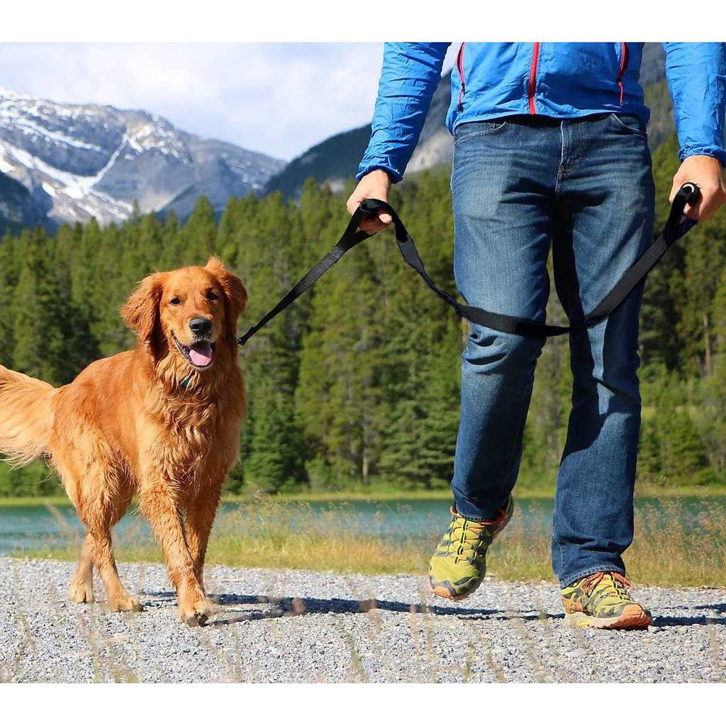 Heavy Duty Dog Leash Double Handle T471