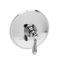 Polished Gold Balanced Pressure Shower Trim Plate with Handle N970274