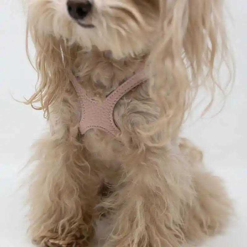 Pebble Grain Harness J421