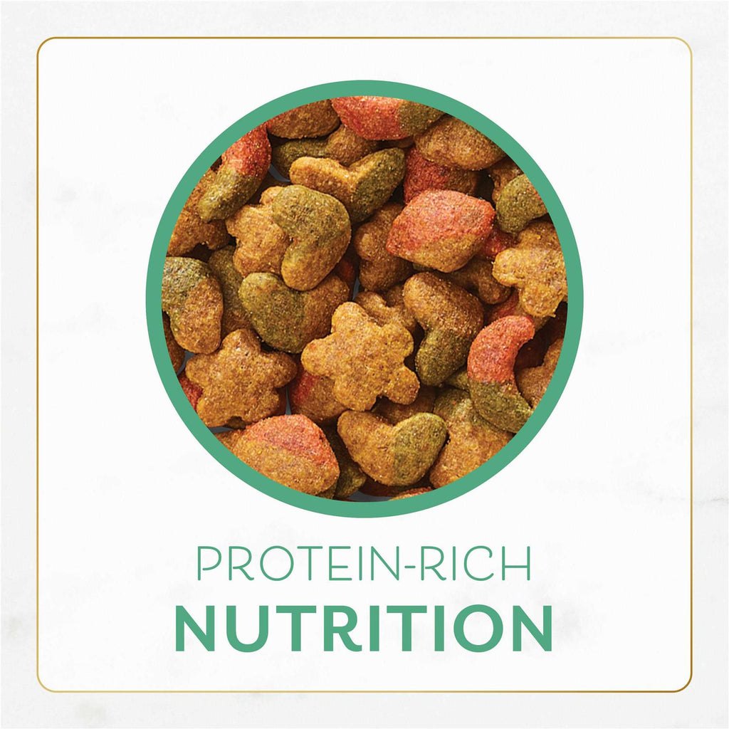 Ocean Fish and Salmon Dry Cat Food Q996