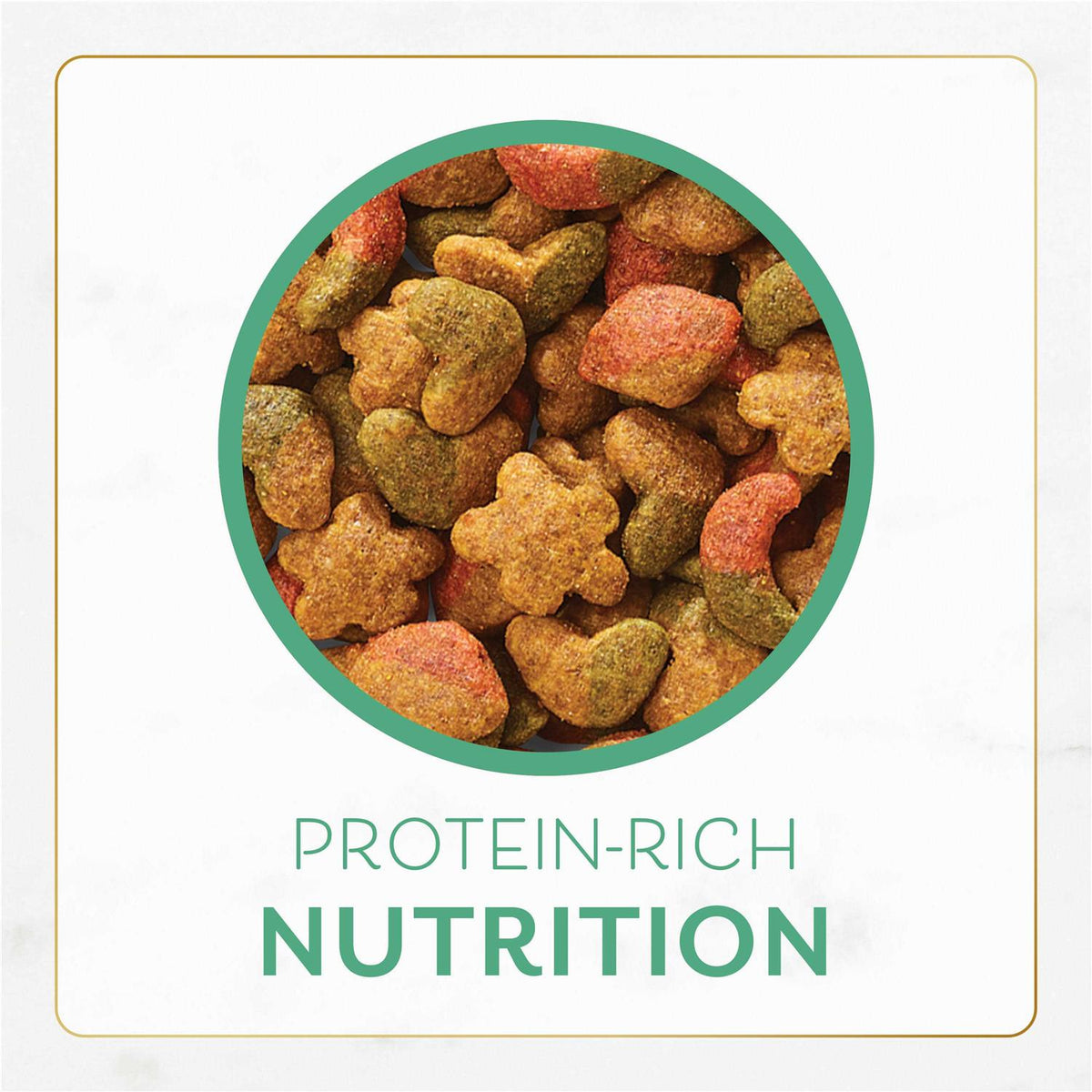 Ocean Fish and Salmon Dry Cat Food Q996